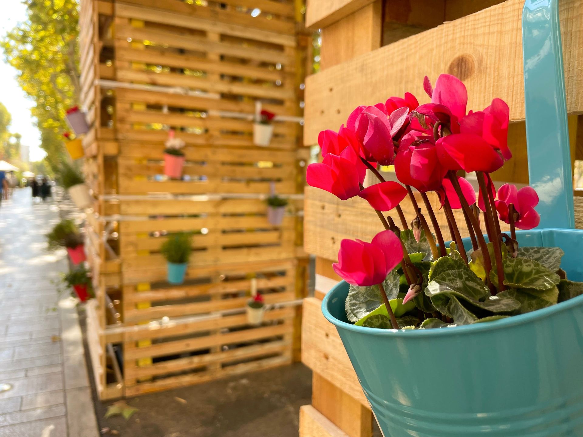 Jardinière fleurie sur un décor en palettes de bois